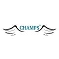 Logo des Projekts „Champs - für Wertevermittlung und Demokratie“.